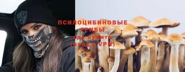 бошки Богородицк