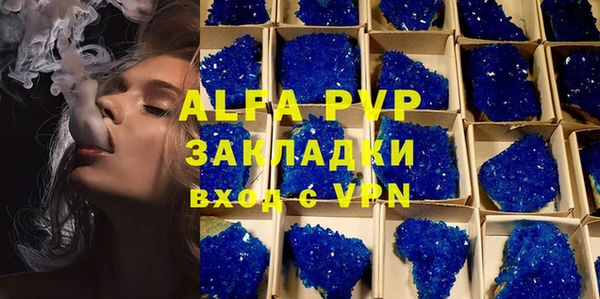 прущие крисы Верея