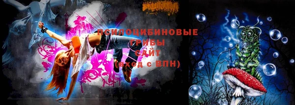 соль ск Богородск