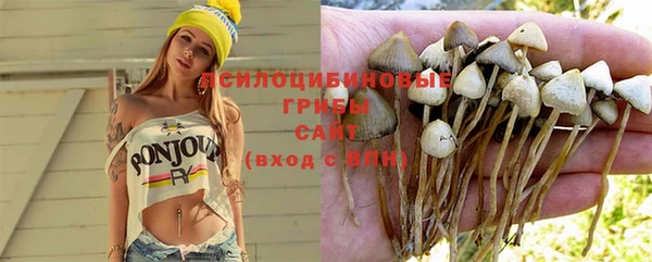 МДПВ Бежецк