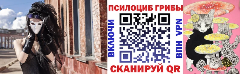 мега как зайти  Великие Луки  Псилоцибиновые грибы Psilocybe 
